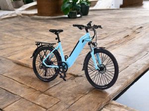 Xe đạp trợ lực E19