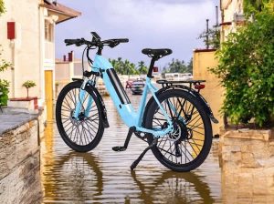 Xe đạp trợ lực E19 - Image 3