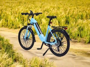Xe đạp trợ lực E19 - Image 4