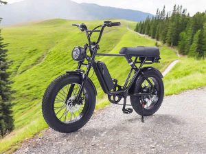 Xe đạp trợ lực bánh béo E32