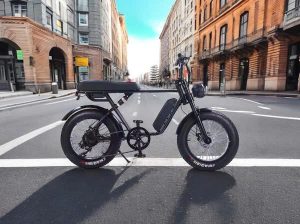Xe đạp trợ lực bánh béo E32 - Image 3