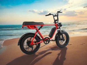 Xe đạp trợ lực bánh béo E32 - Image 4