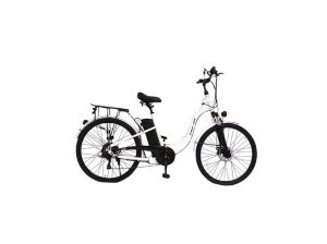 Xe đạp trợ lực E54