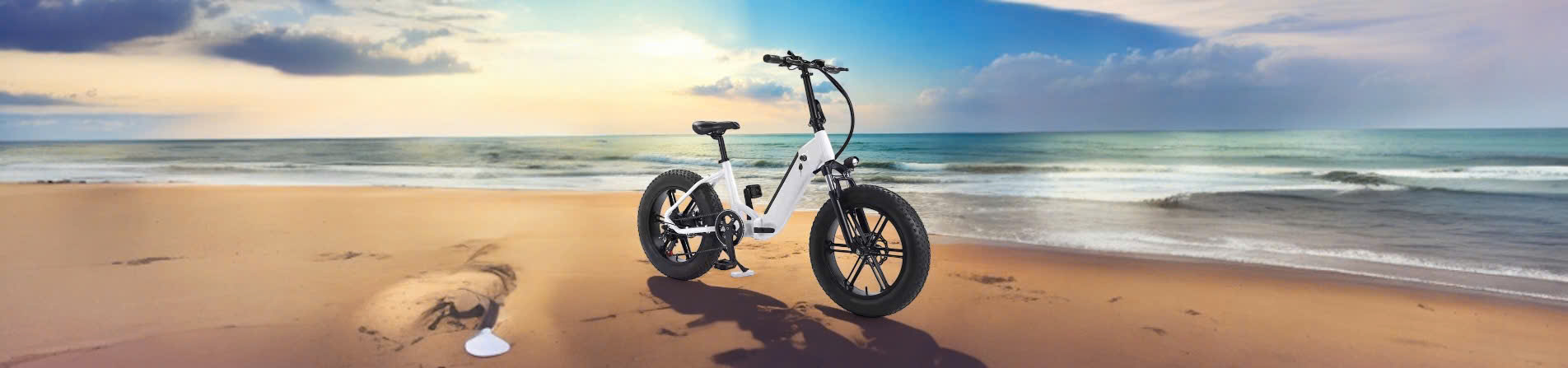 Xe đạp trợ lực bánh béo